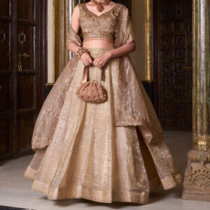 Gold Crush Lehenga