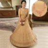 Elegant beige net embroidered lehenga choli with floral zari