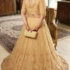 Elegant beige net embroidered lehenga choli with floral zari