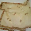 Elegant beige net embroidered lehenga choli with floral zari