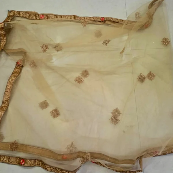 Elegant beige net embroidered lehenga choli with floral zari